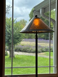 View out of the living room window