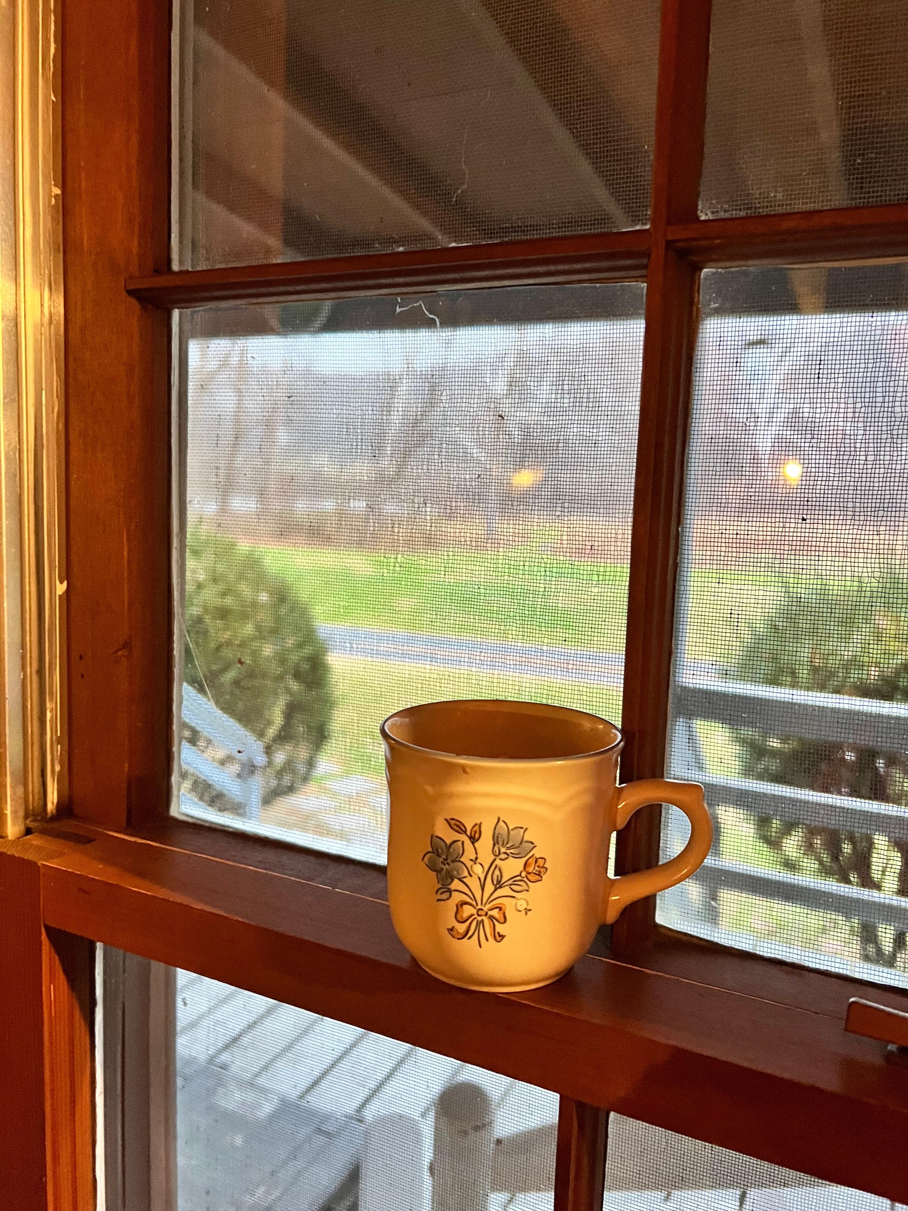 Foyer looking onto the porch.