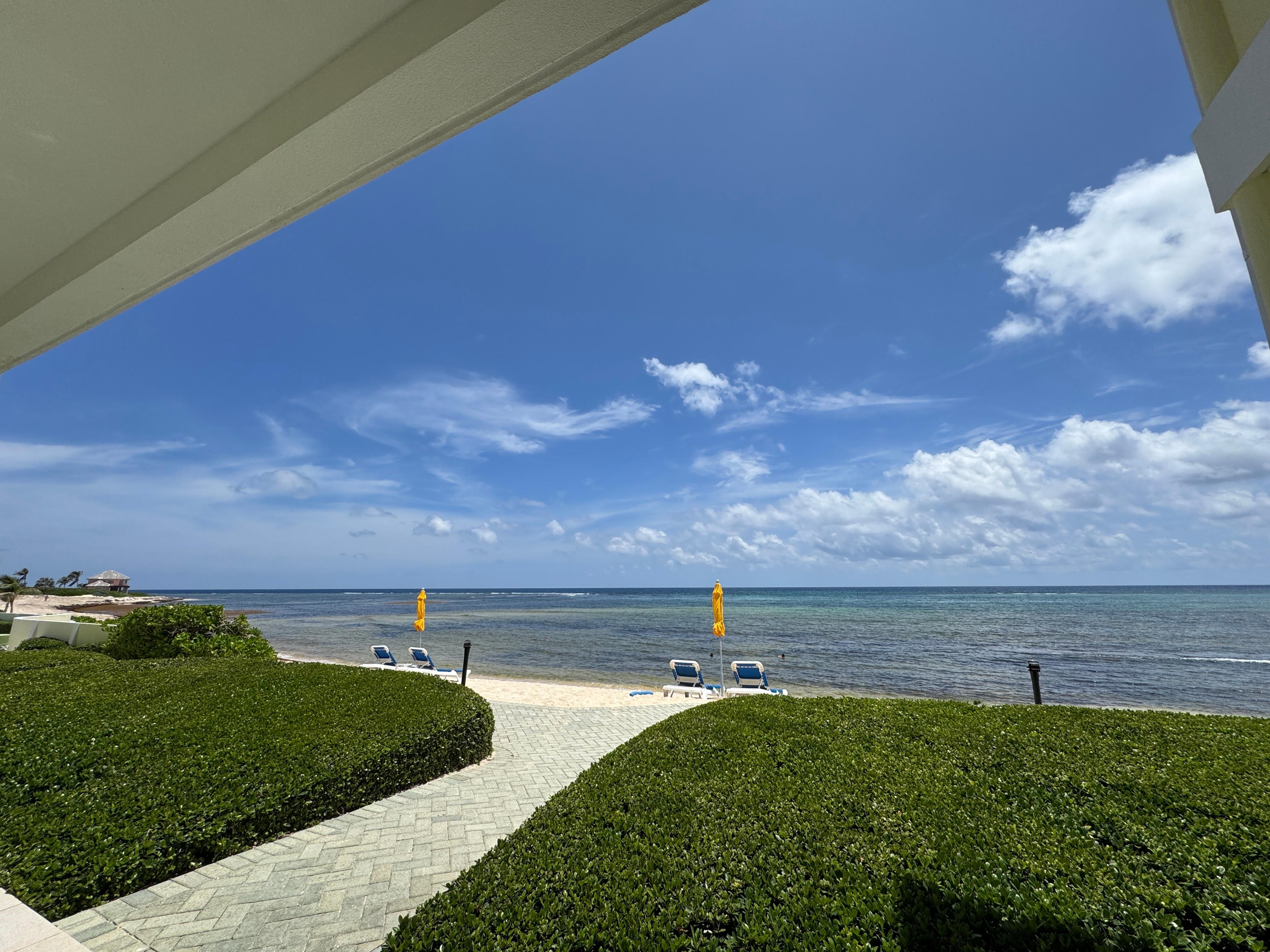  View from the patio.