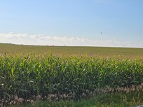 The surrounding countryside looks alot like much of Iowa; peaceful and beautiful in its own way.