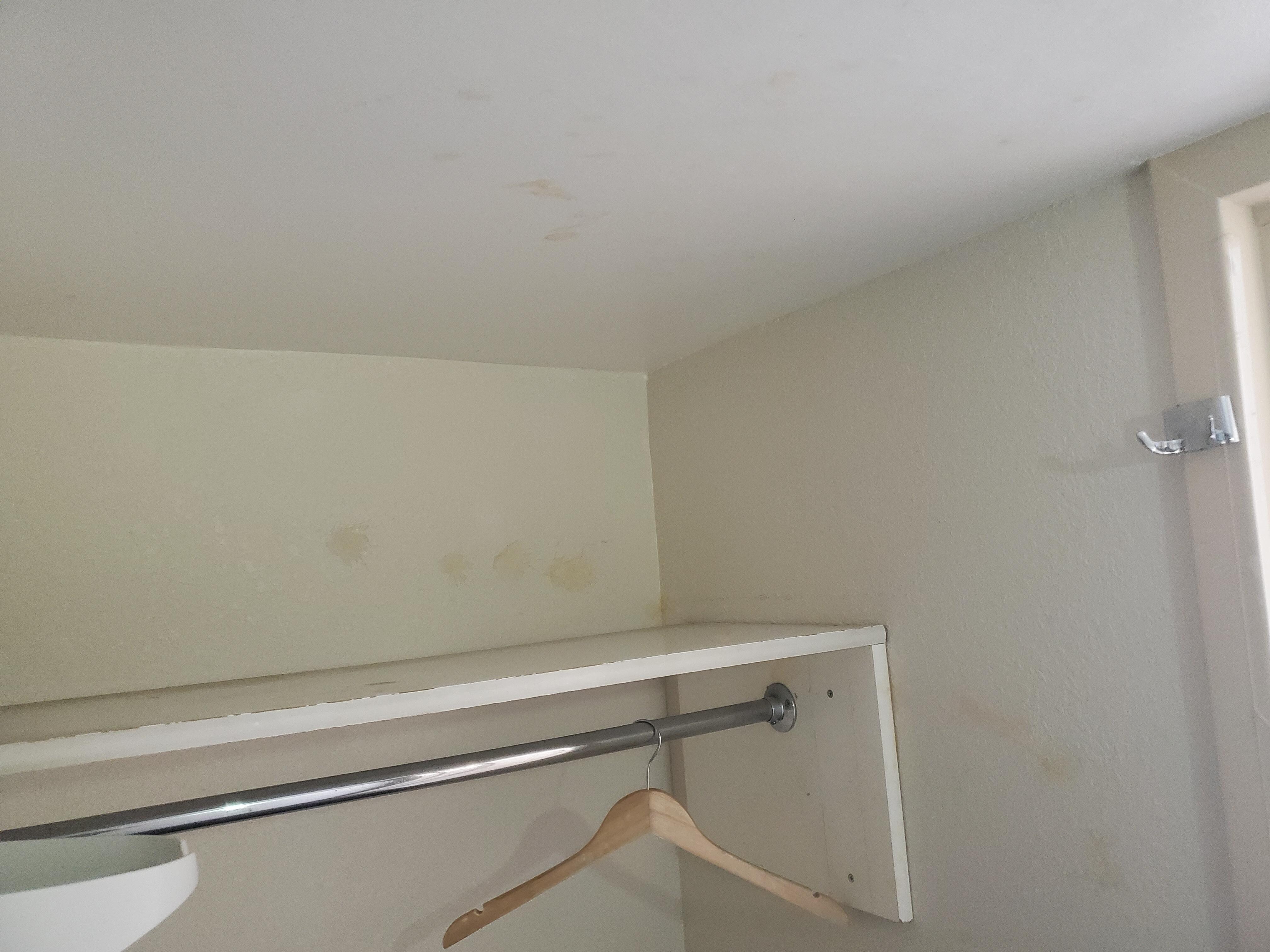 Gross gunk on the wall