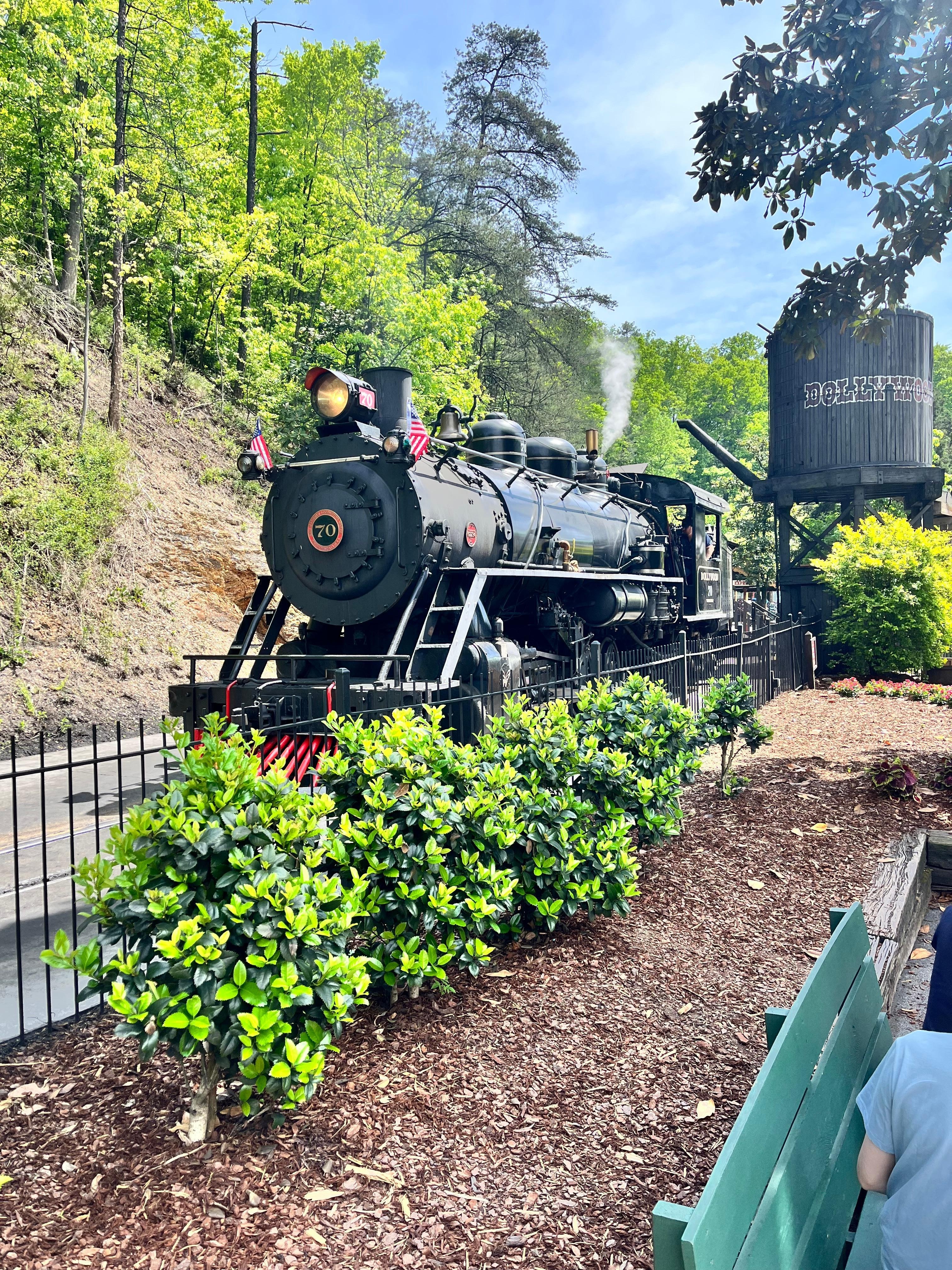 Dollywood Choo-choo