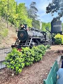 Dollywood Choo-choo