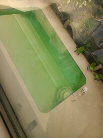 Disgusting pool on 8/3/25