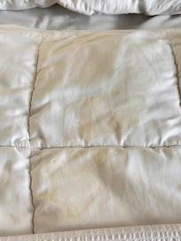 Large stain on bed