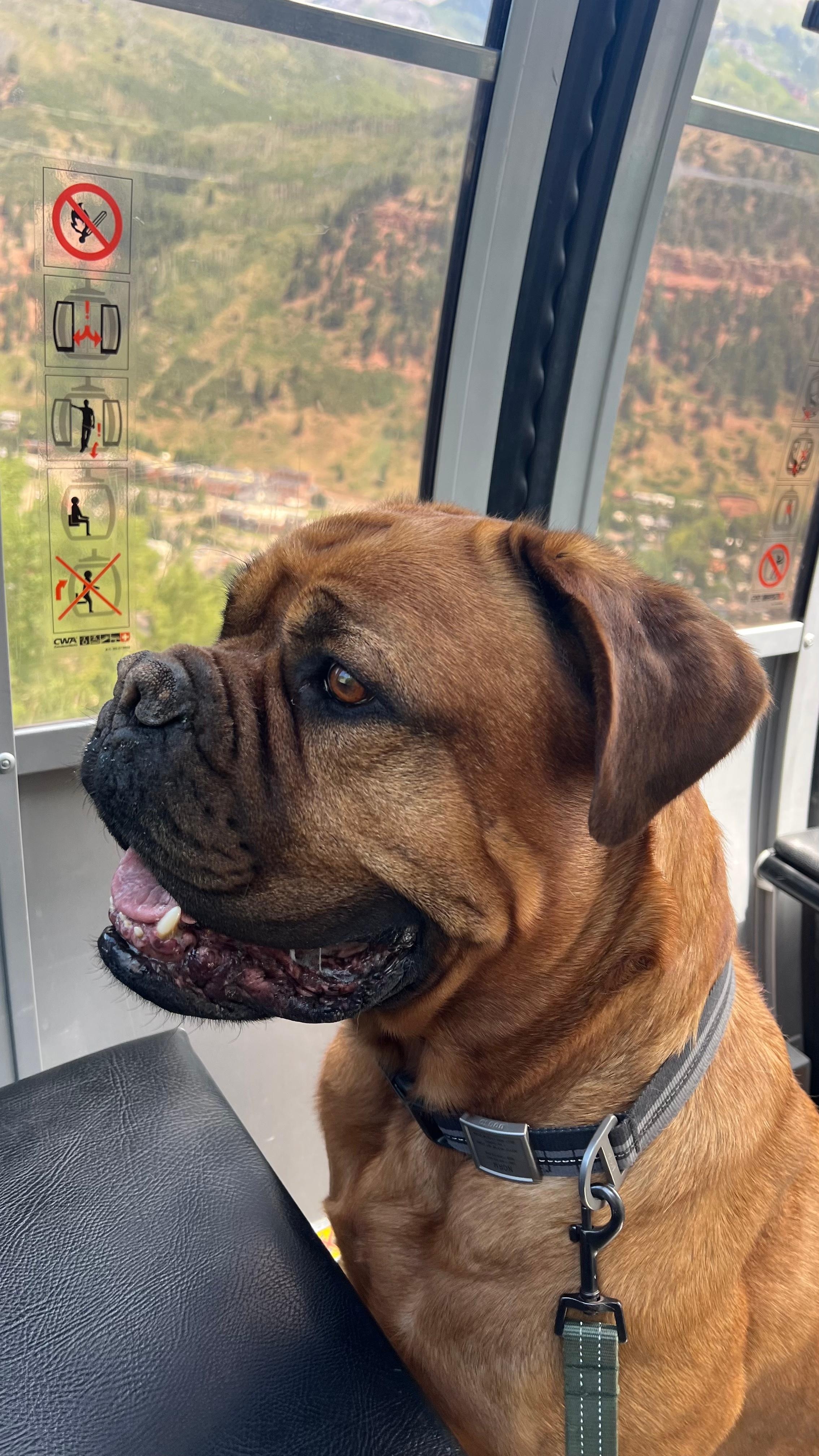 First ride on the Telluride gondola