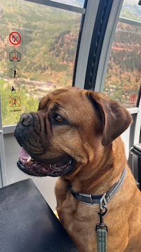 First ride on the Telluride gondola