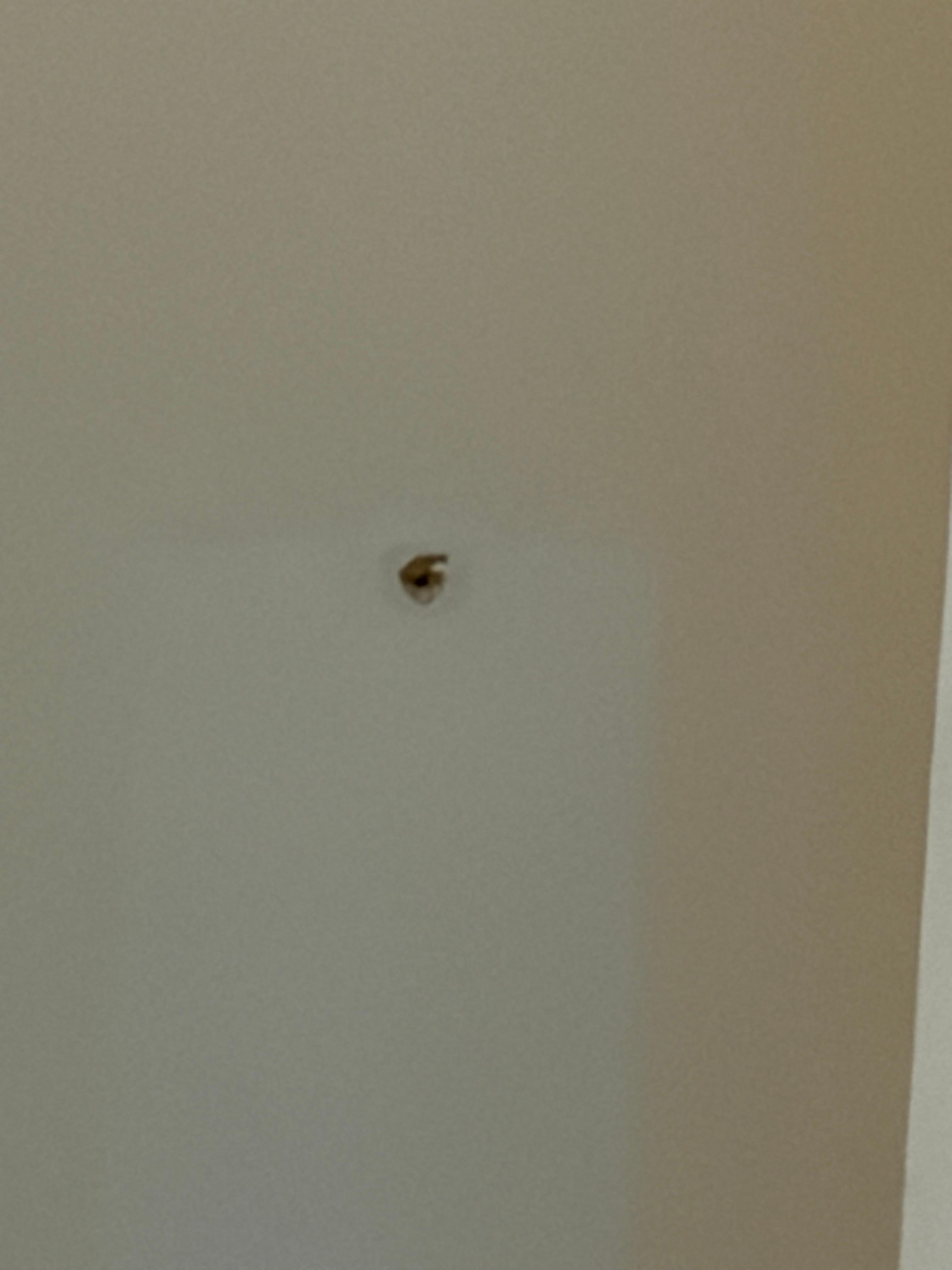 More holes