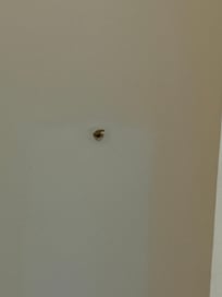 More holes
