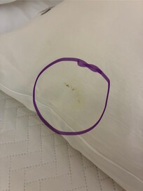Pillow on Queen bed downstairs