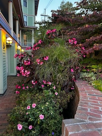 The flowers were beautiful