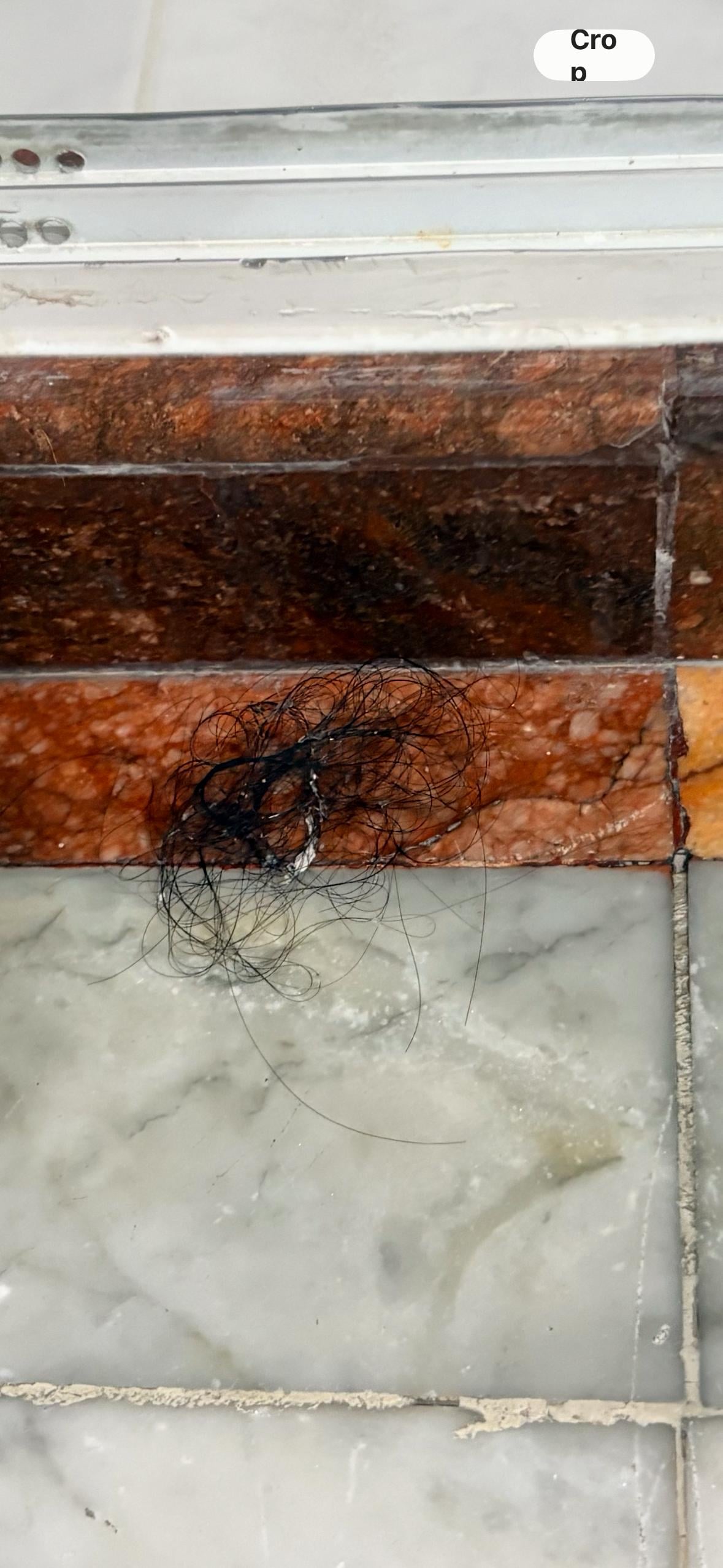 One of the hair clumps in the bathroom 