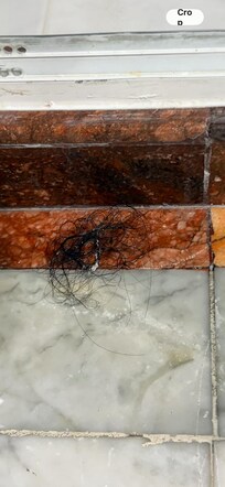 One of the hair clumps in the bathroom