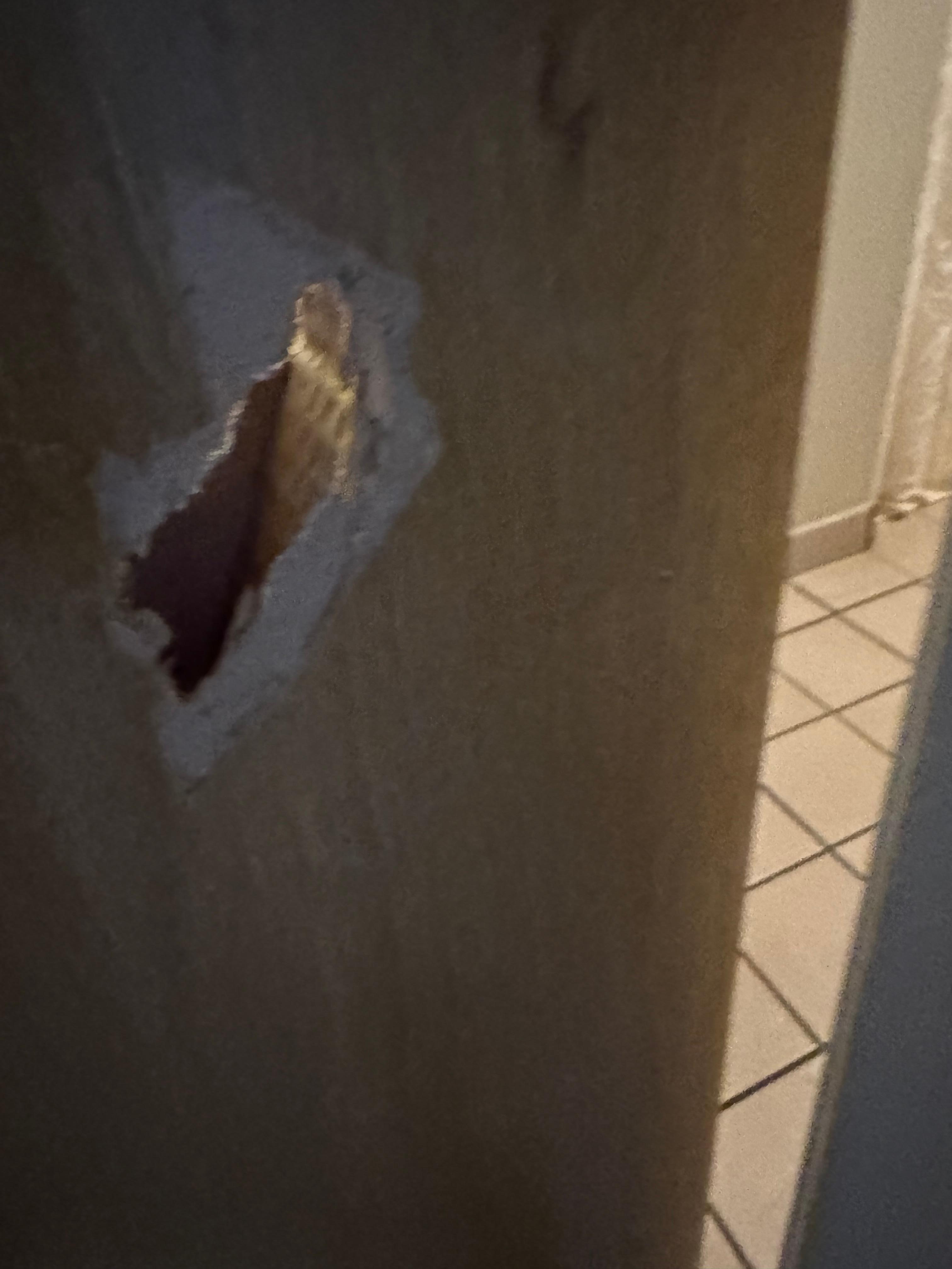 Hole in bathroom door