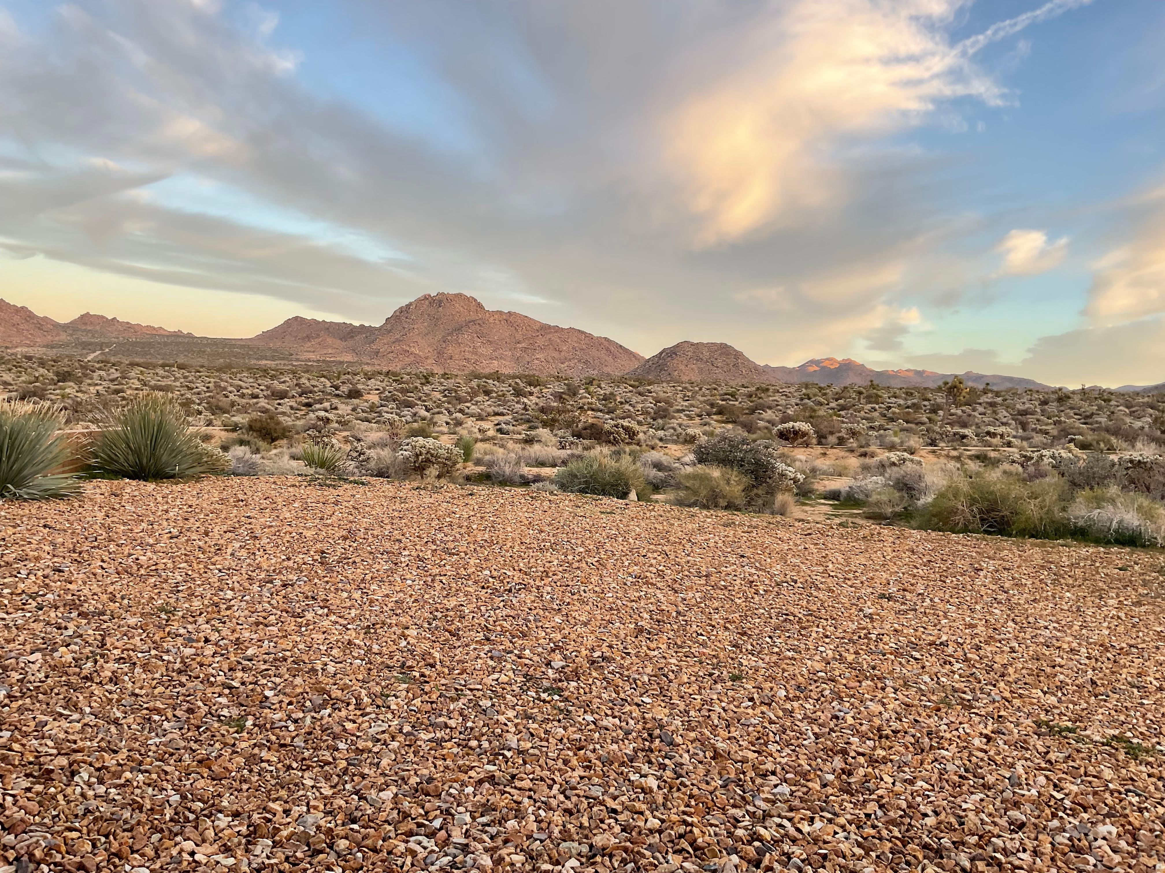 View from the backyard.