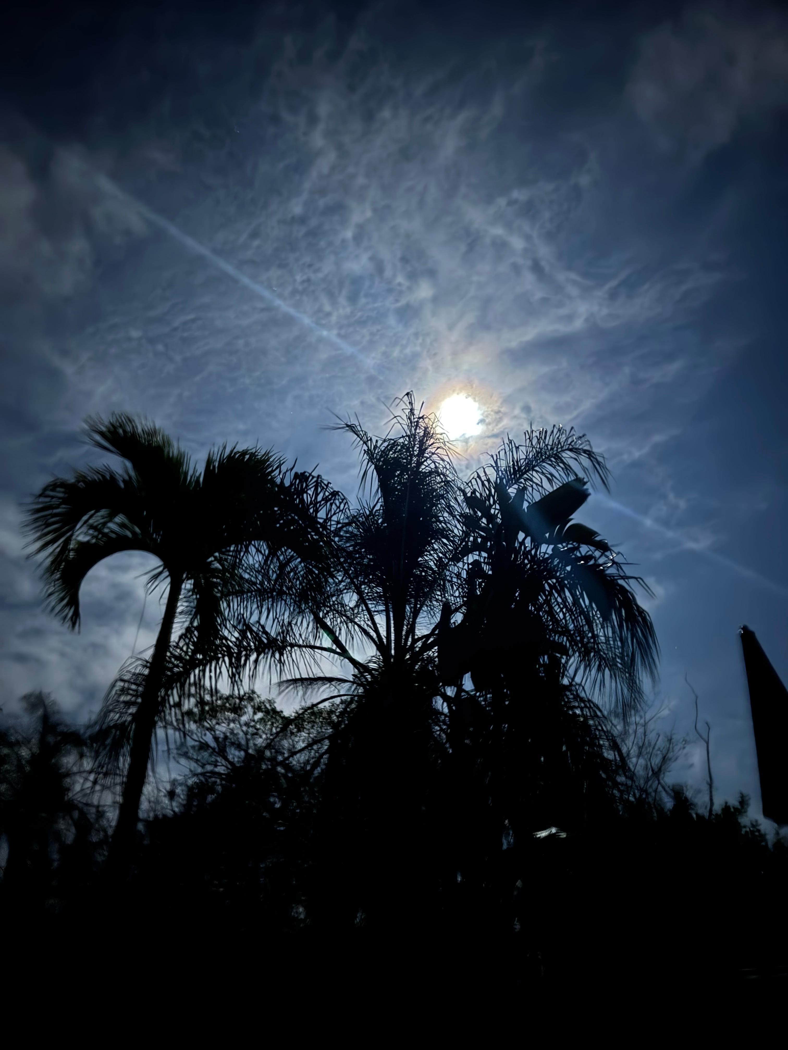 Full moon overhead while we enjoyed the infinity pool overlooking the ocean