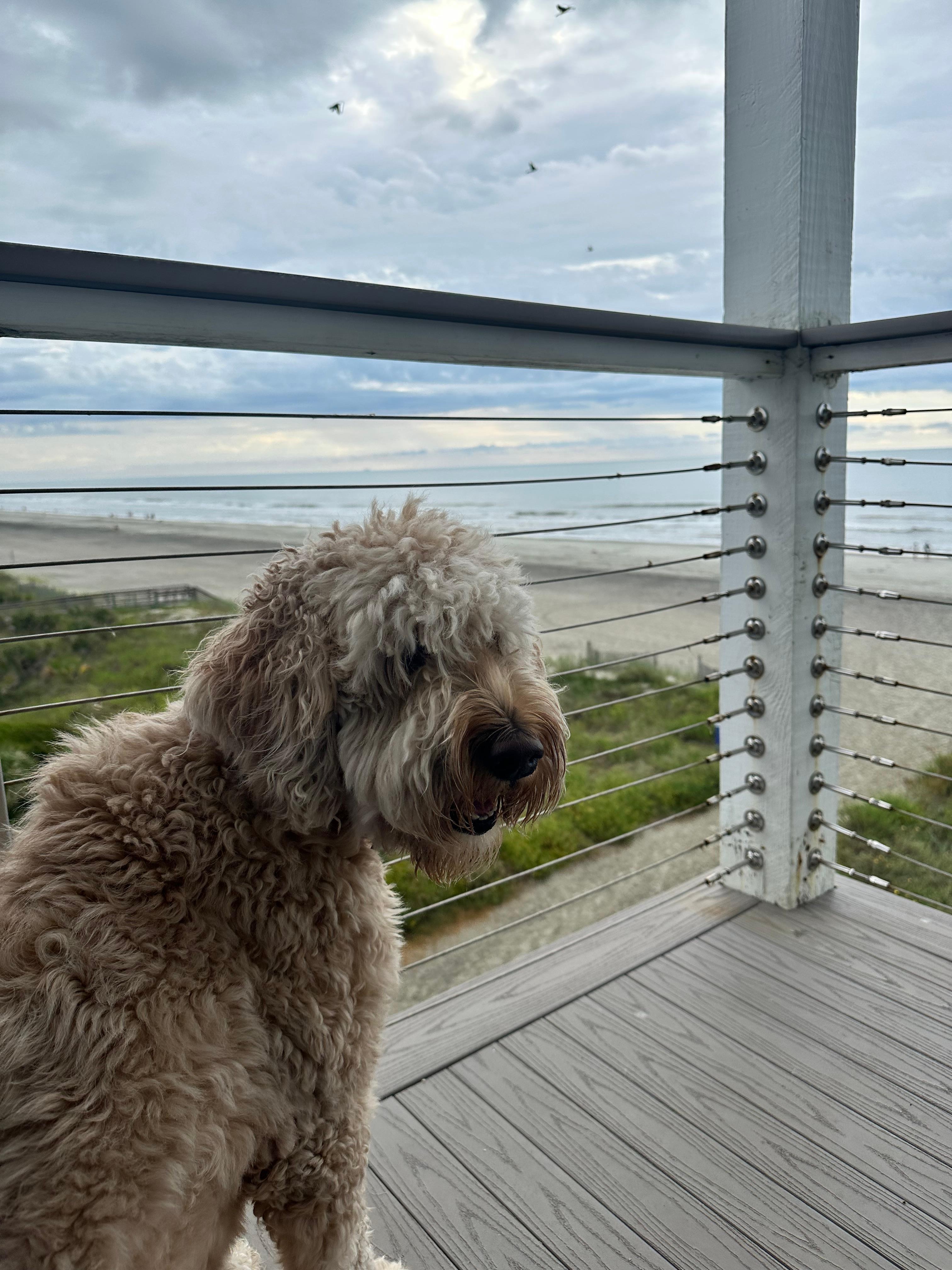 She loved people watching from the balcony. 