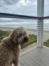 She loved people watching from the balcony.