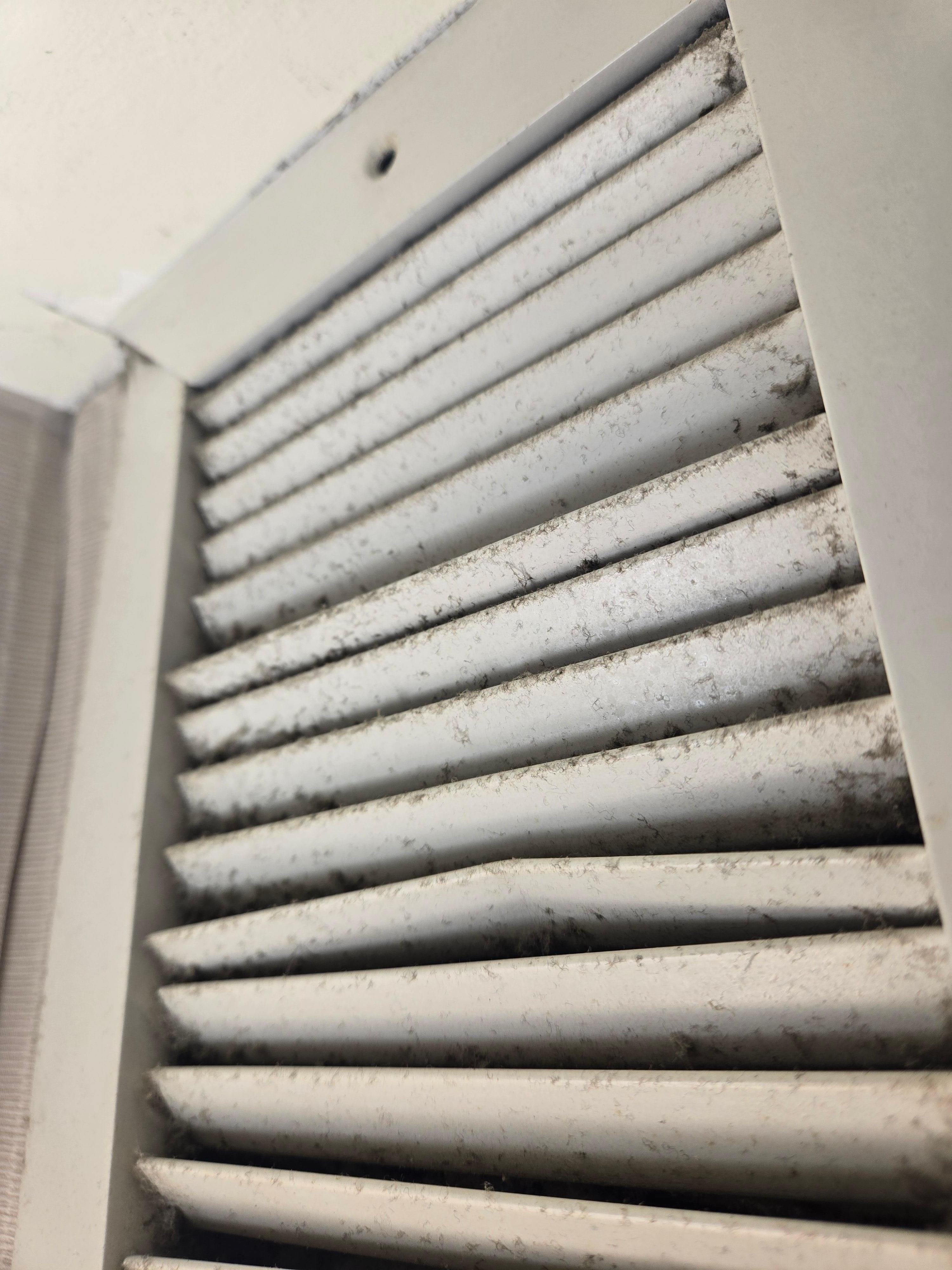 Bathroom exhaust vent
