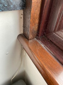 Stains on carpet