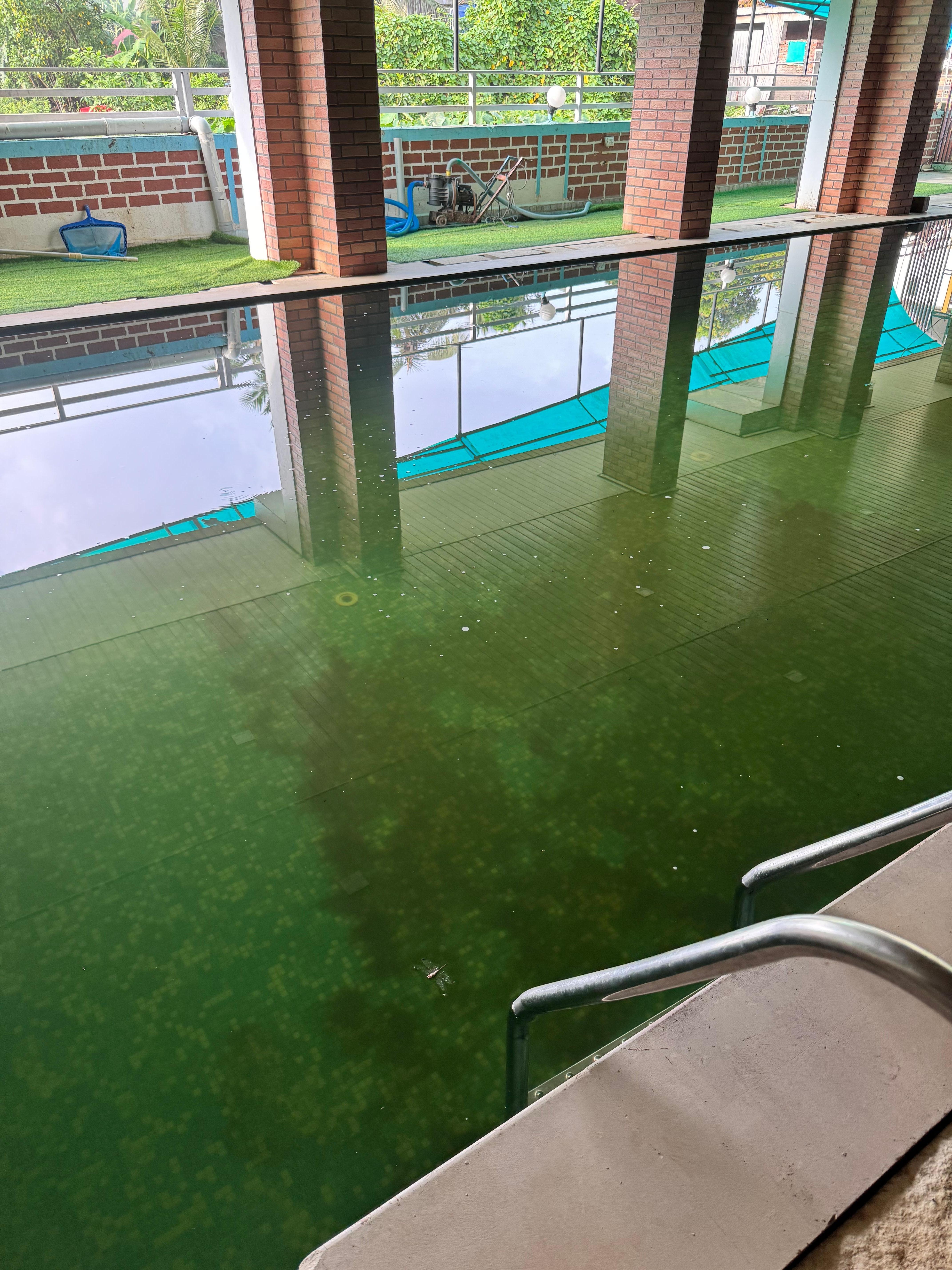 All the mud and algae at the bottom of the pool