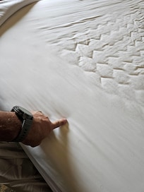 Zoom In - plenty to see