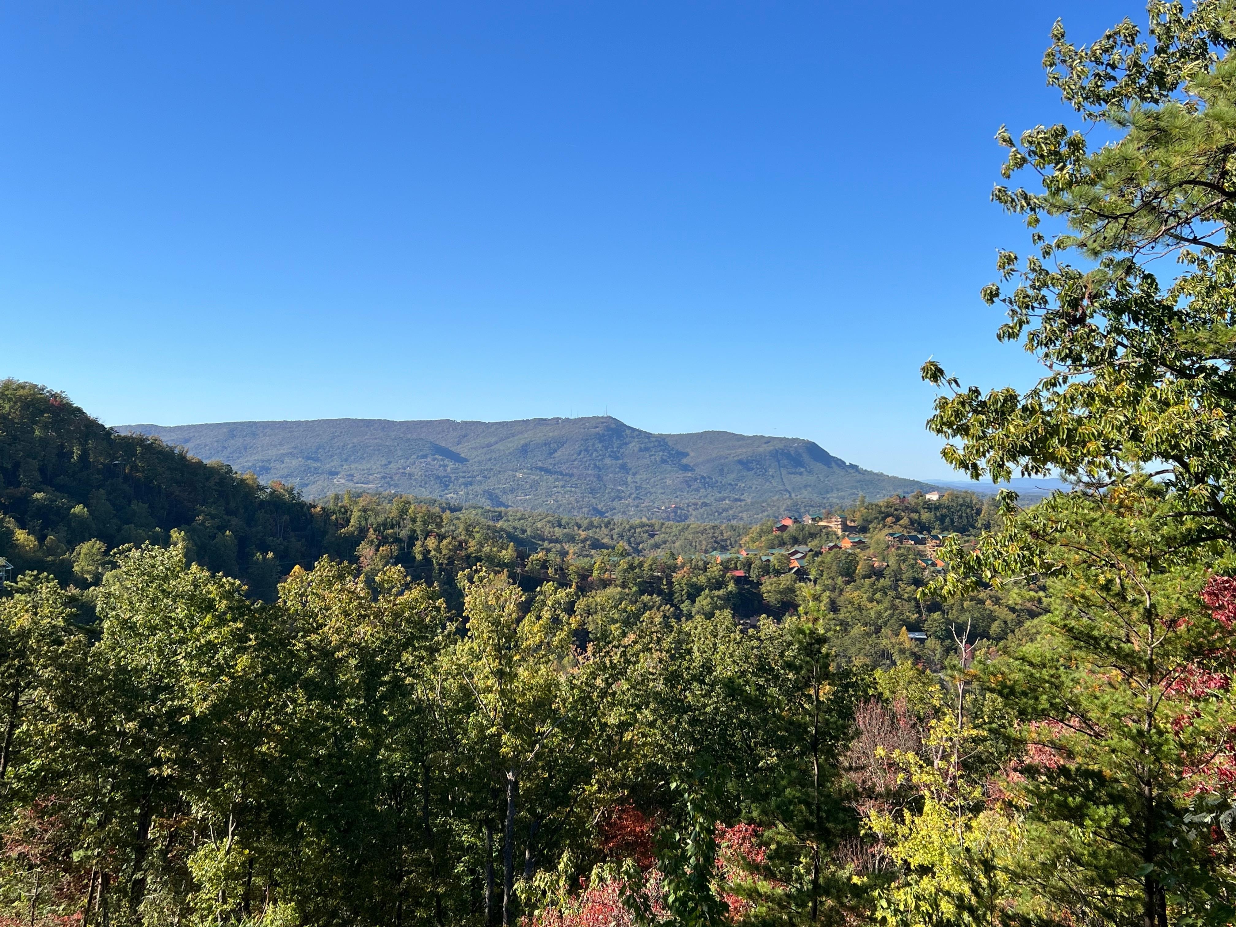   View from cabin deck