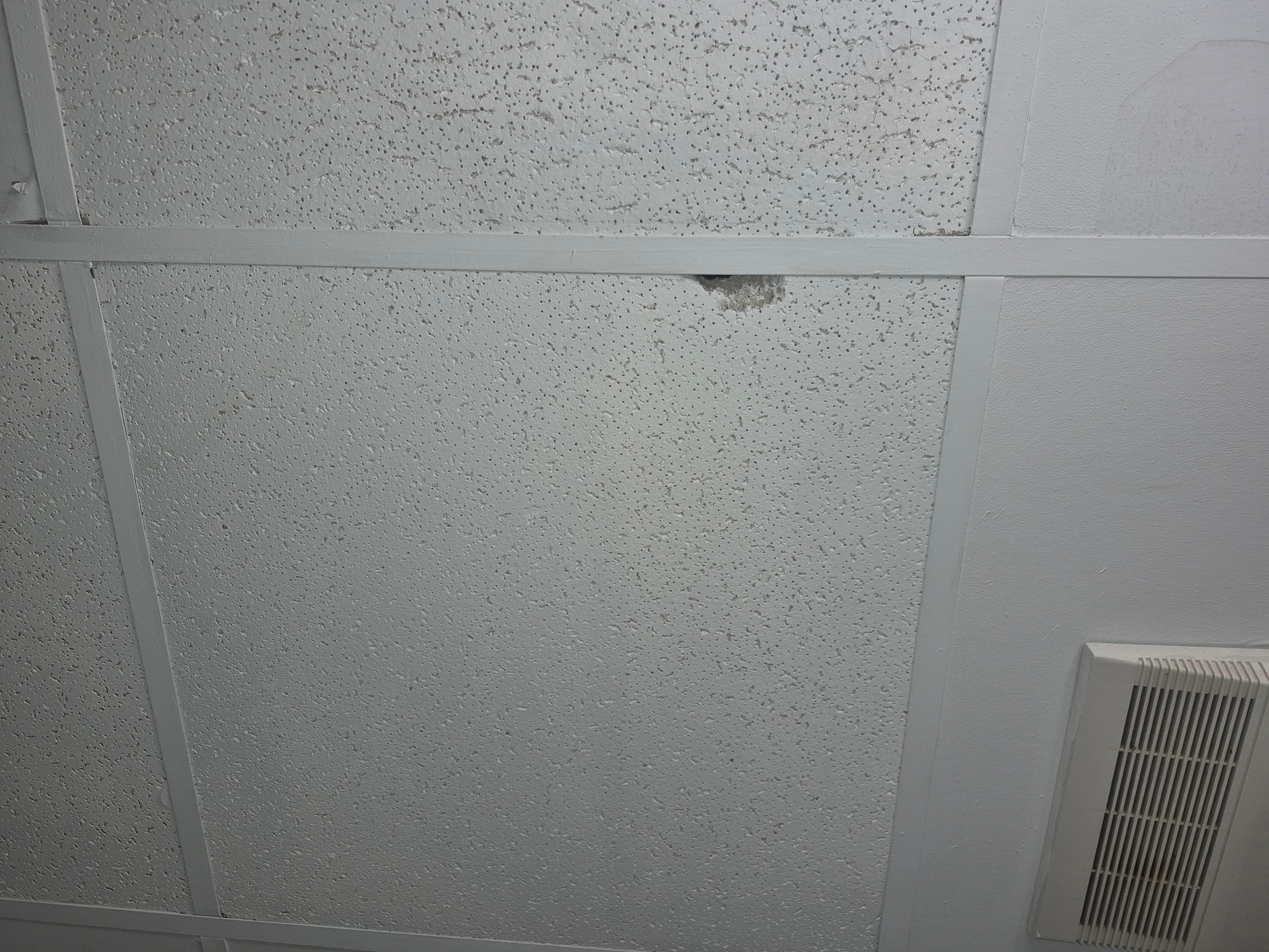 CEILING IN THE BATHROOM HAD HOLES. LOOKED LIKE IT WOULD FALL DOWN.