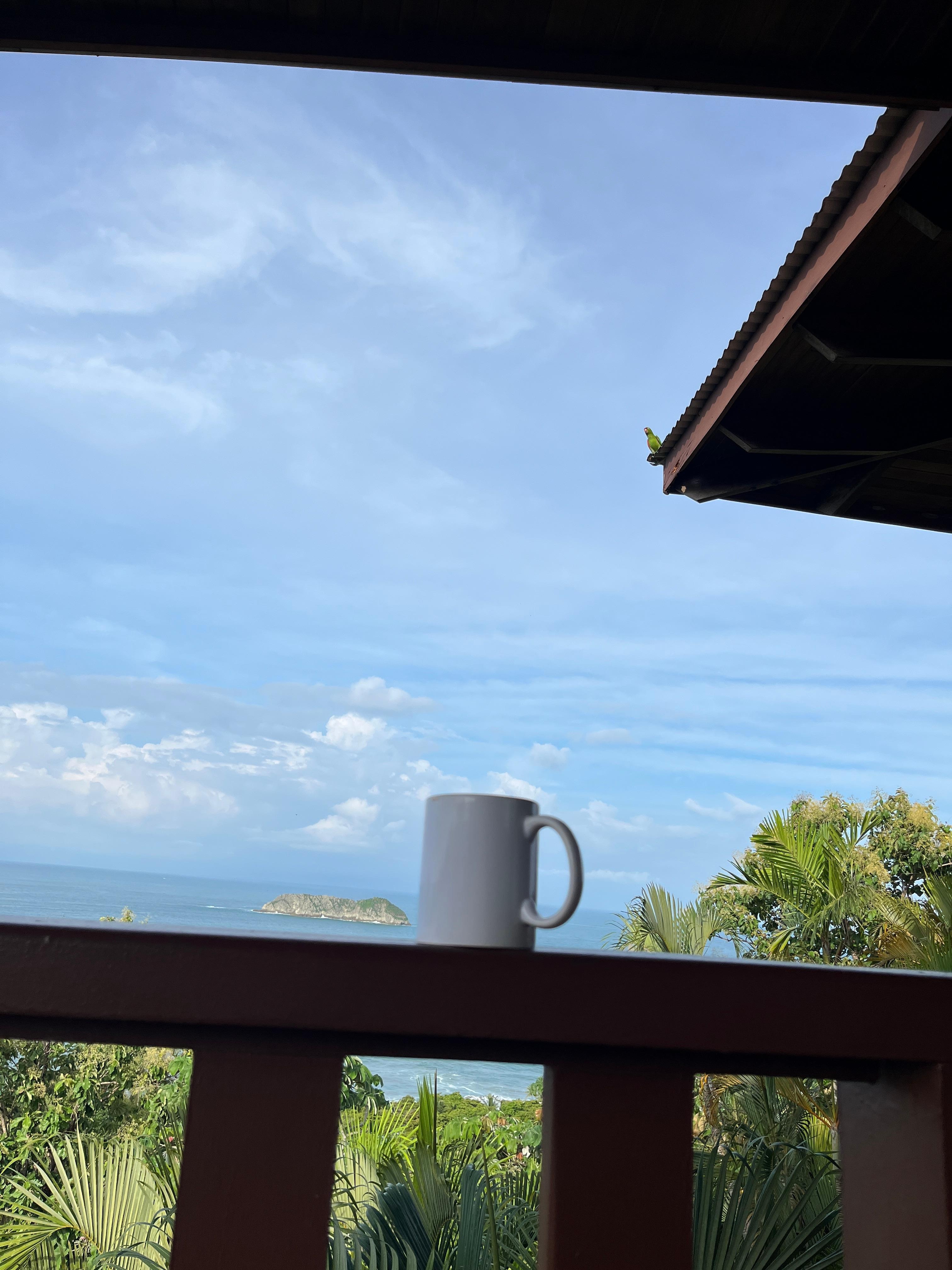Parrot joined me for coffee.