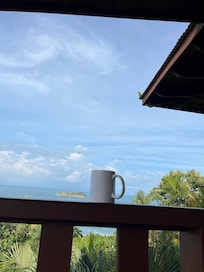 Parrot joined me for coffee.