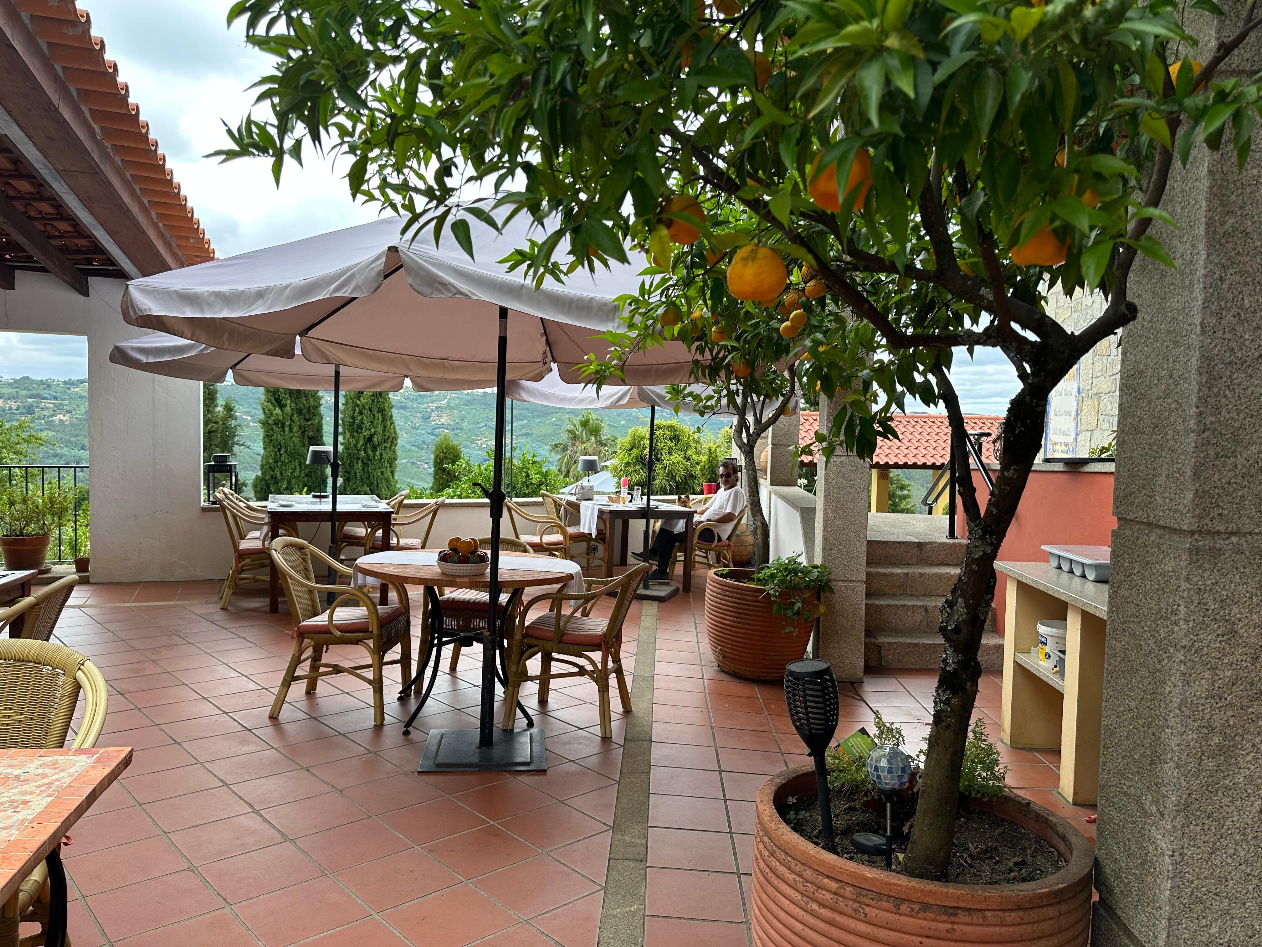 La terrasse