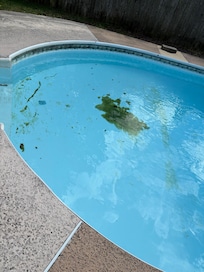 Unfortunately refund not an option and pool was one reason we booked the home so we could enjoy !!!