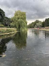 The grounds