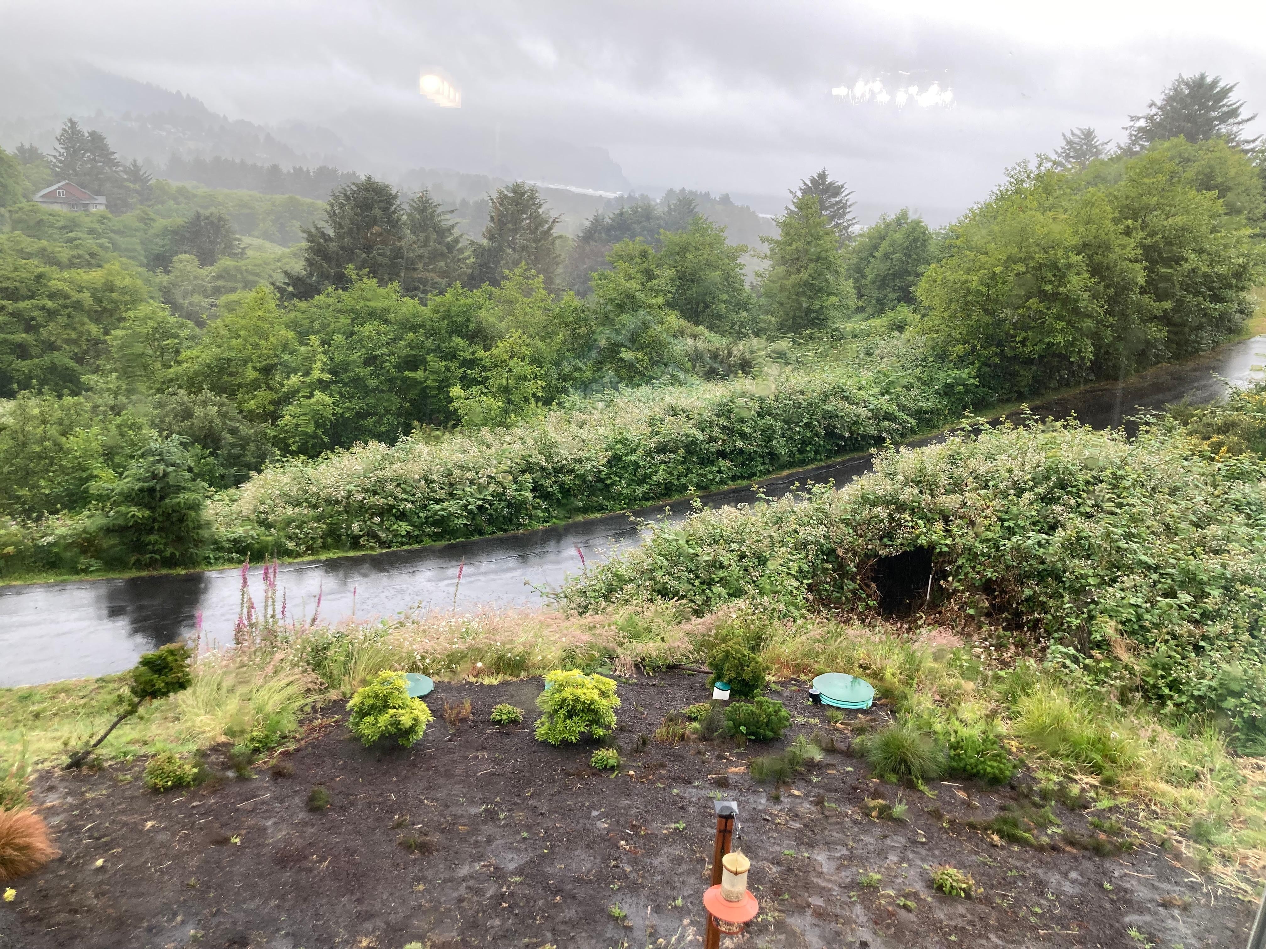 View from back window 