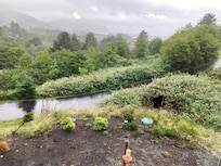 View from back window