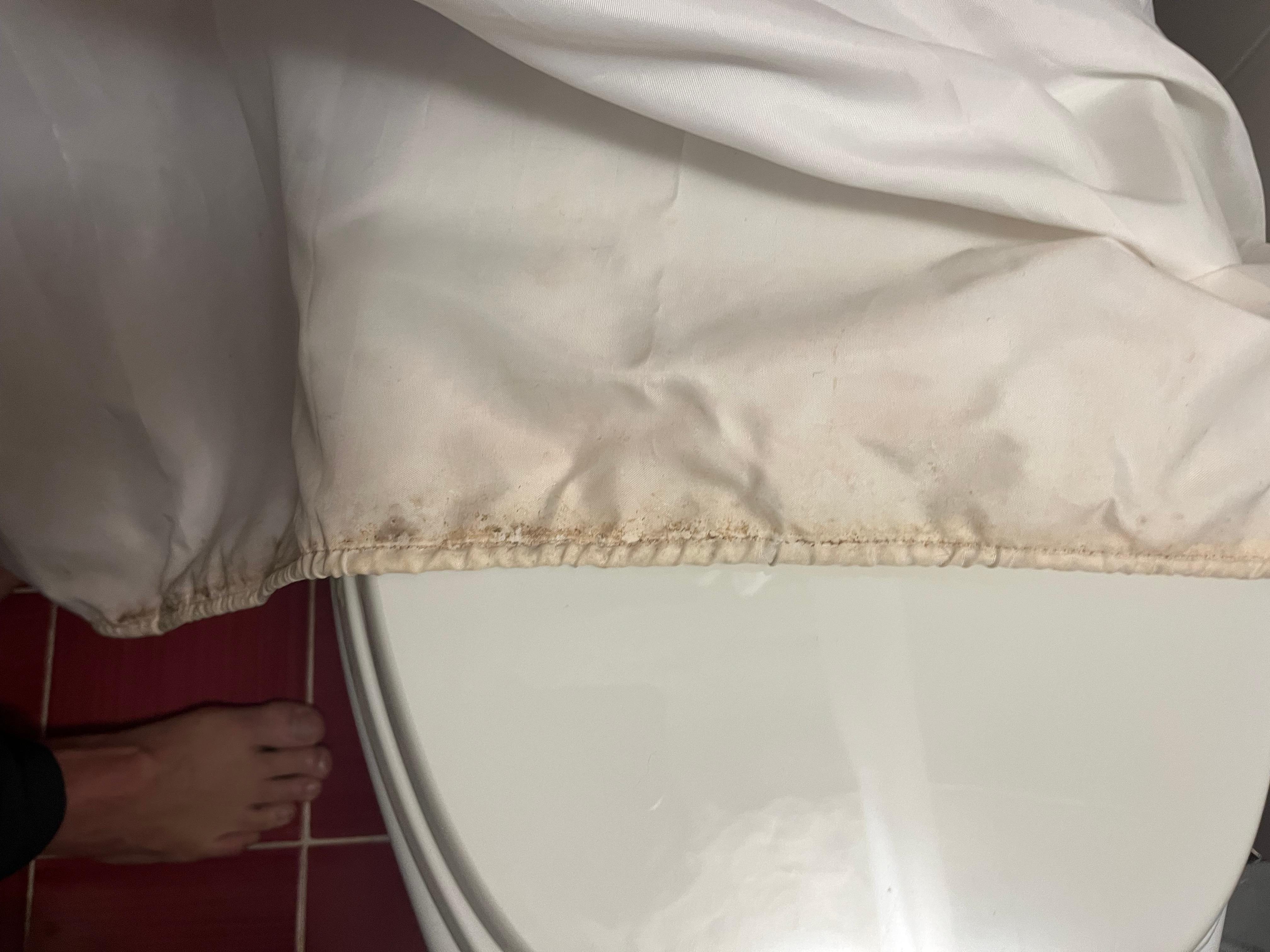 Moldy shower curtain