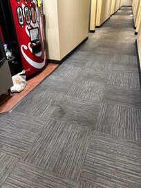 Stains and old food in hallway.