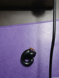 Roach