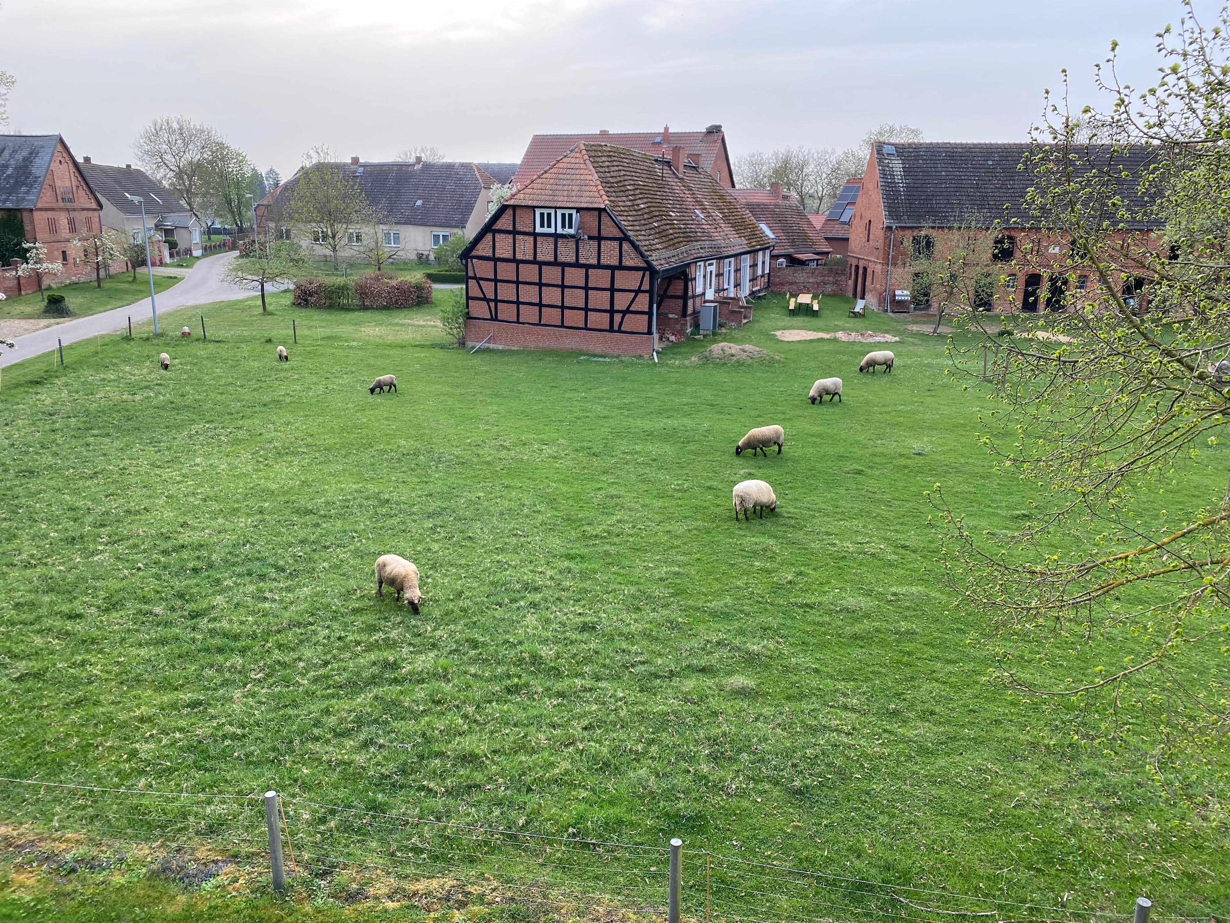 Blick vom Balkon 