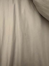 Hair found in bed (first night we were there - having not been in the bed before)