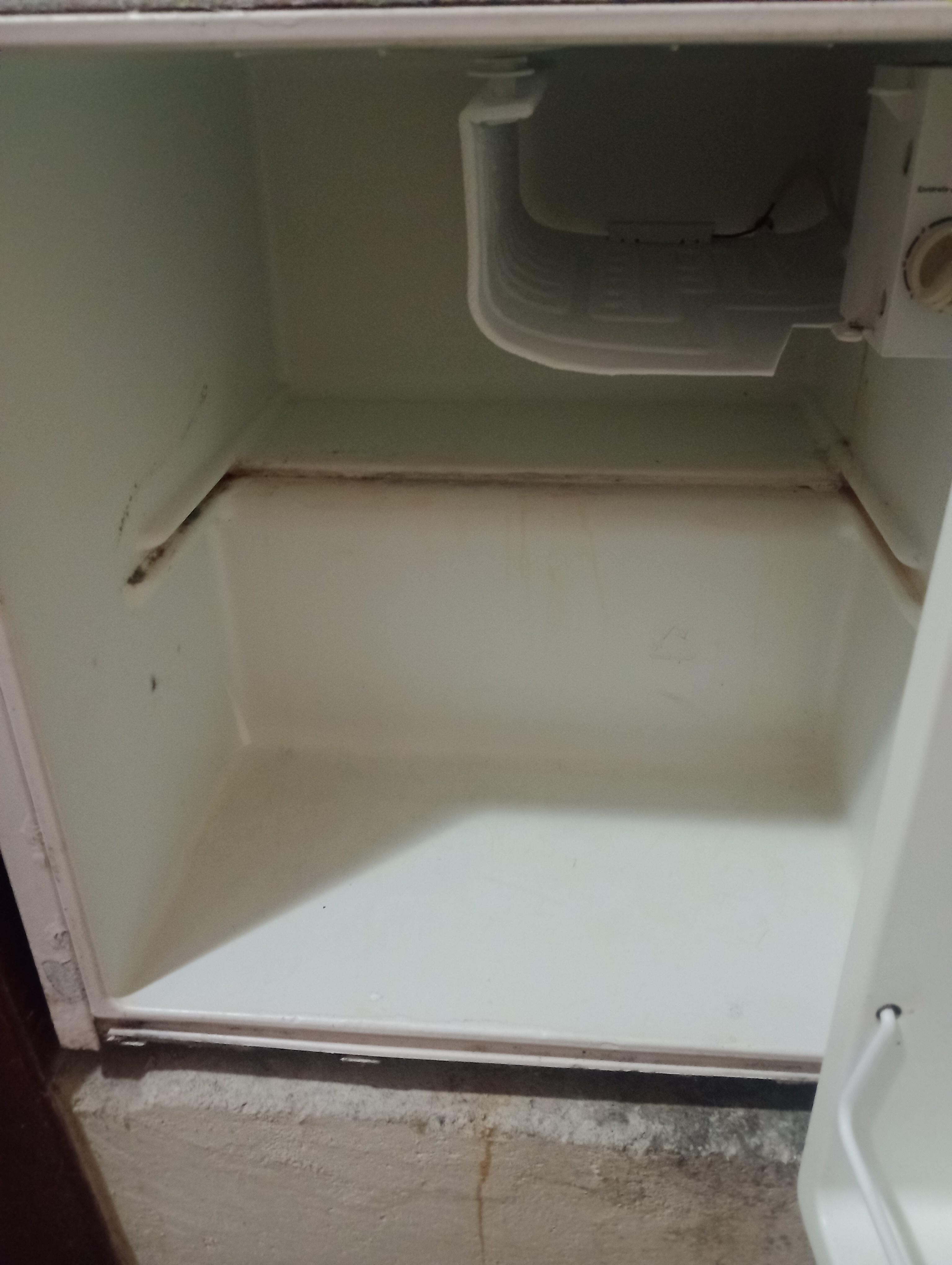 Tinha mal cheiro e uns bichinhos 