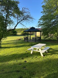 View from the back porch