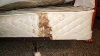 Kids beds. BOTH of them