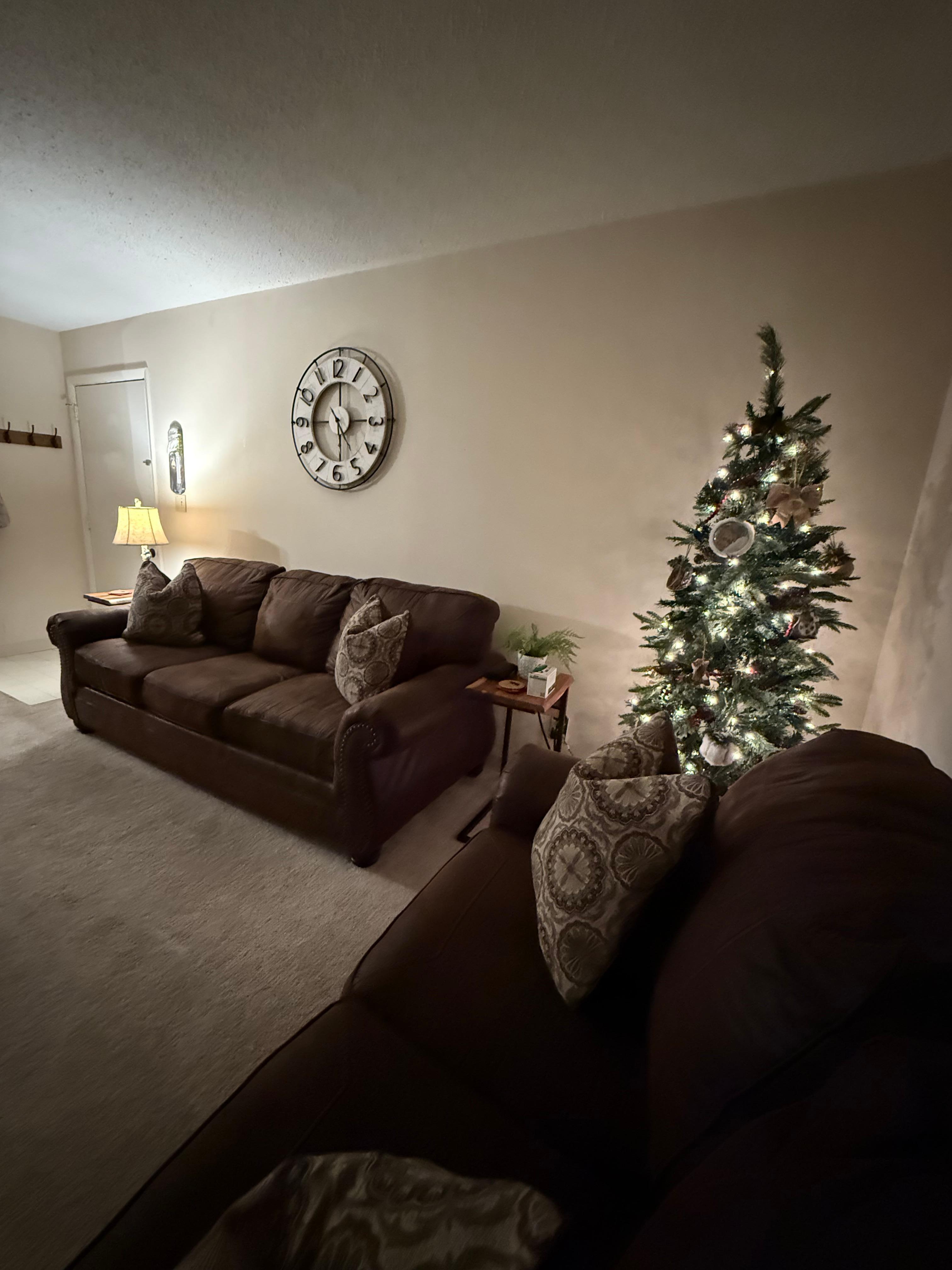 We had a cute little Christmas tree in our den!