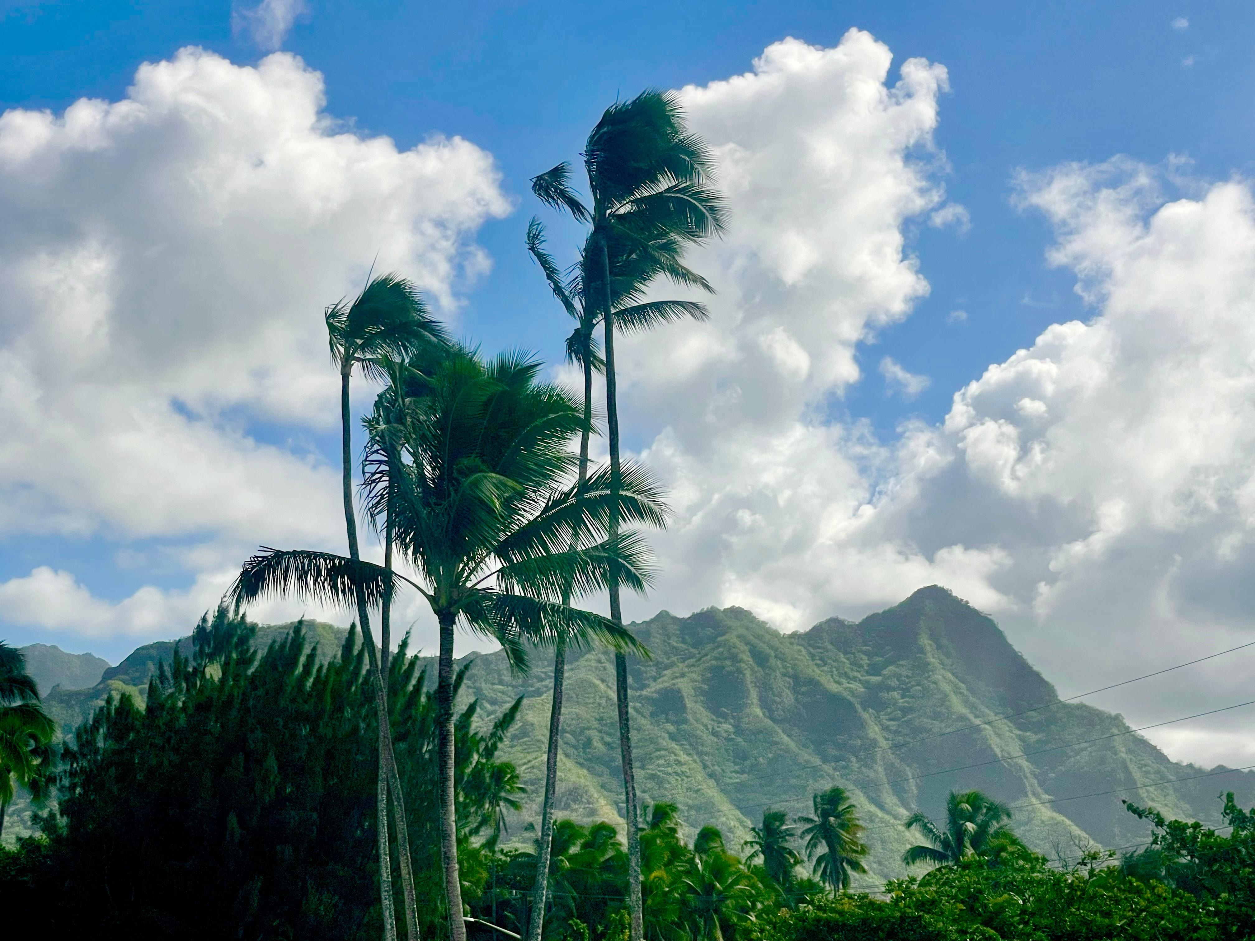 From walkway from elevators to our unit