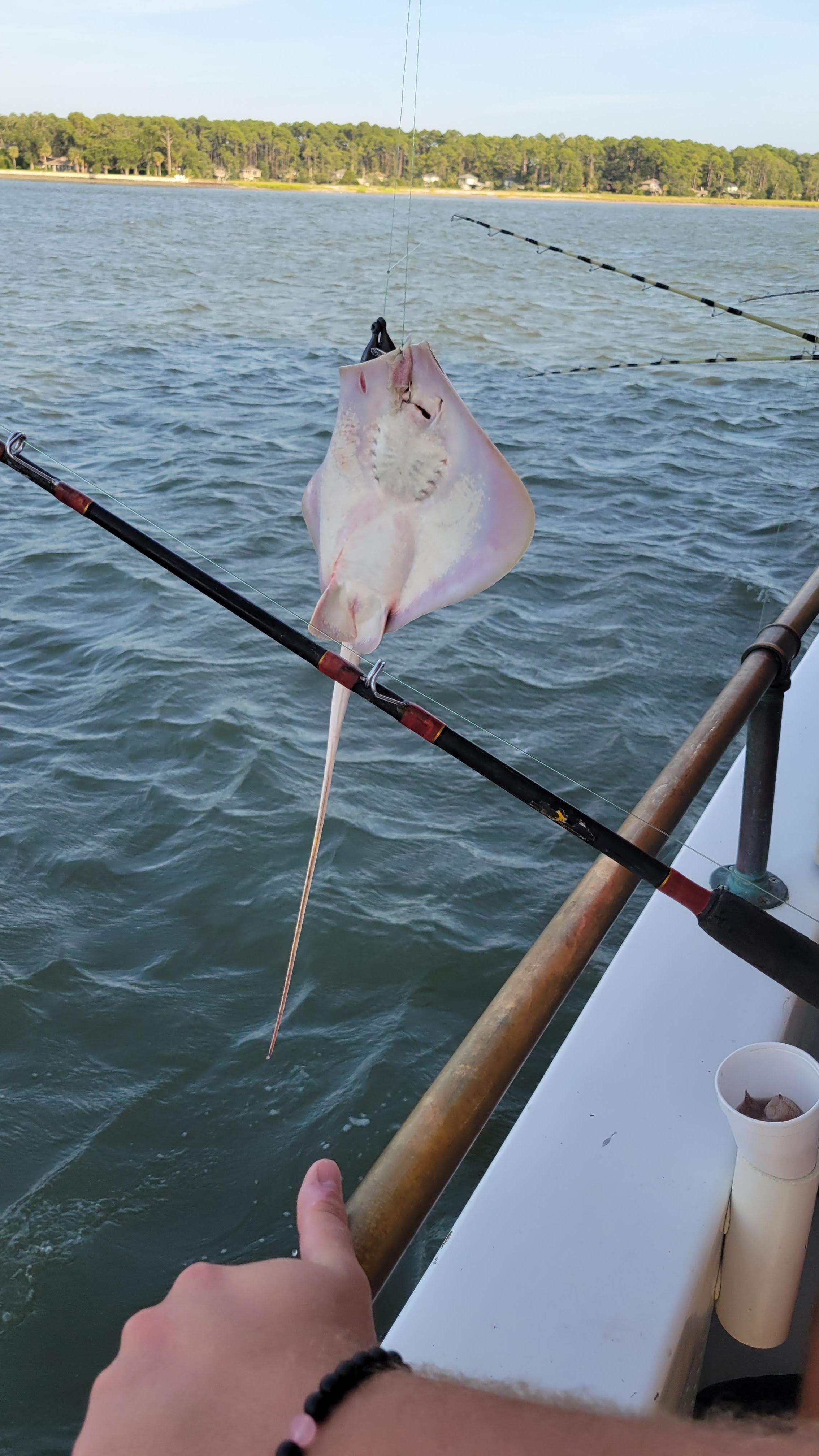 Captain Hooks Fishing Charter