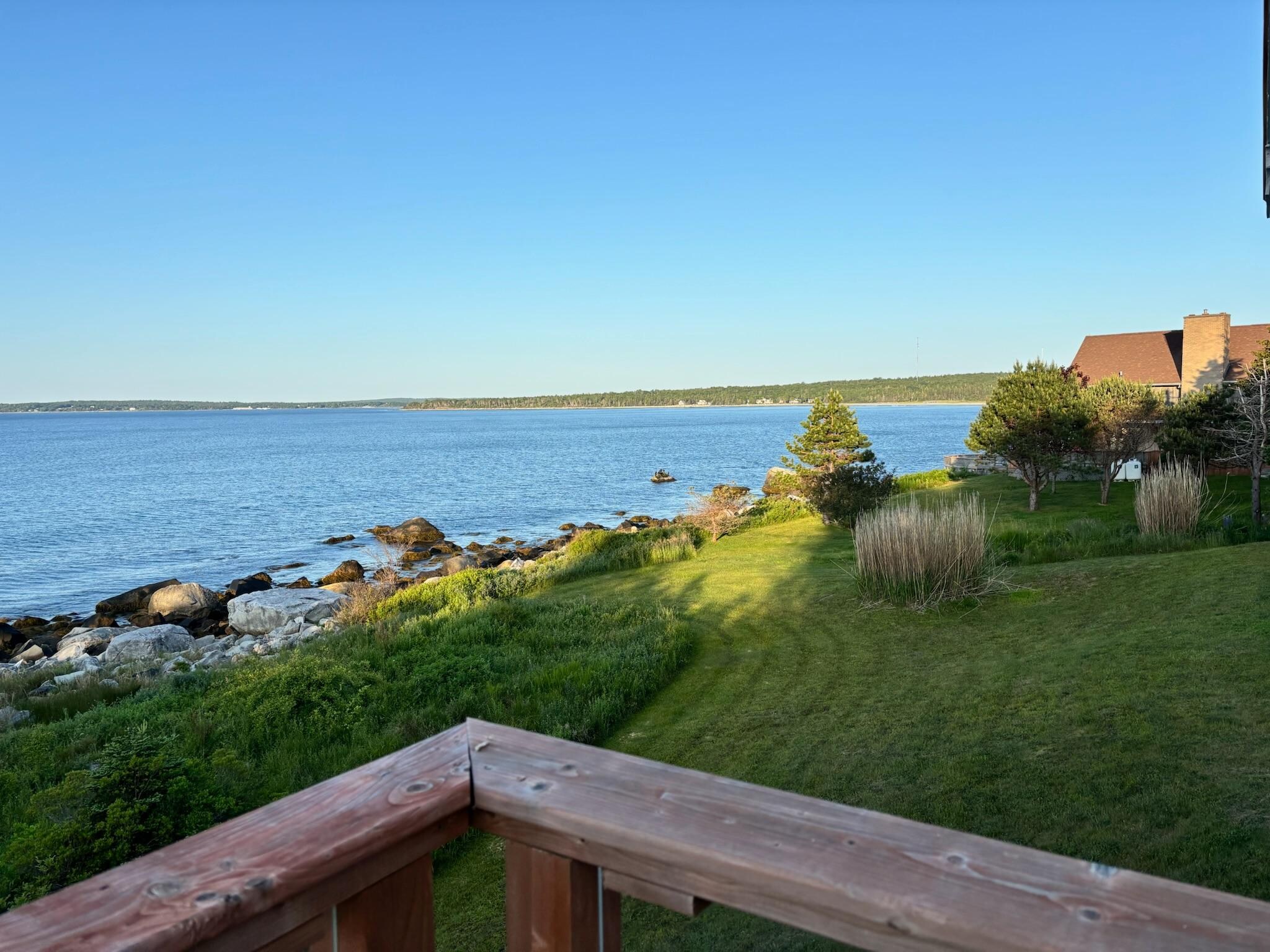 Morning view from the patio.