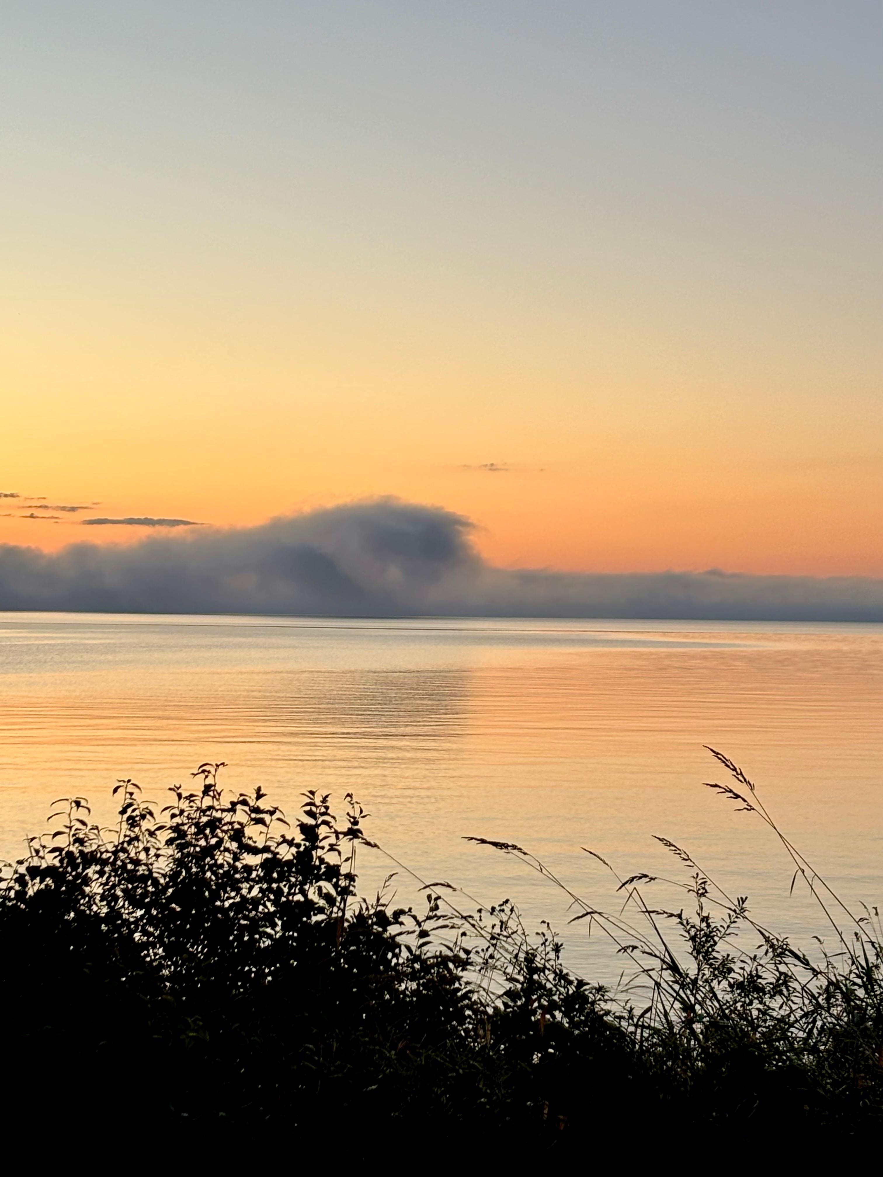 Dawn from the living room.