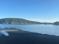 The view