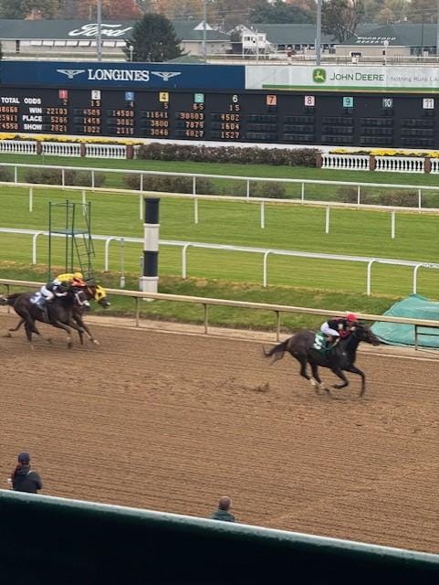 The Exquisite Condo is close to Churchill Downs horse racing track, home of the Kentucky Derby.